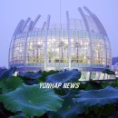 회산백련지 수상유리온실 이미지