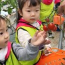 푸른솔농장3 이미지