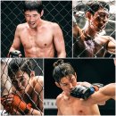 파파 티브이데일리