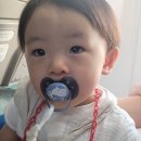 베베쪼니