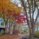 아람이네 이미지