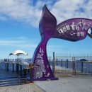 대진항 해상공원 이미지