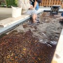 폭포여관 이미지