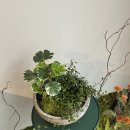 [10/25]가드닝 클래스 이미지