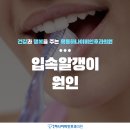 양천이비인후과의원 이미지