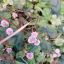 햇빛펜션 이미지