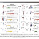 리핏바디짐 이미지