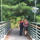 산수모일 Daum카페