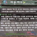 해법 행정사사무소 이미지