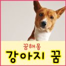 강아지꿈 이미지