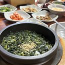 곤드레산나물밥집 | 울산 무거동 맛집 부모님과 함께 방문하기 좋은 건강 밥상 곤드레산나물밥집