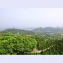 숲속의하루 이미지