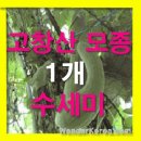 프롭테라피&밴드운동 이미지