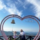 요골목장 | 홍천 비발디파크 놀거리 곤돌+양떼목장+스카이스윙 후기