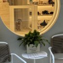 댕댕묭실 이미지