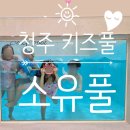 경덕초등학교 | 청주 감성 수영장 &#39;소유풀(So You Pool)&#39; 방문후기