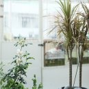 주식회사 셀젠텍 이미지