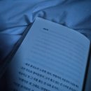 용두대로 | [충북/단양/제천] 충북 북부권역 여행기록(*먹거리 위주 후기)