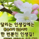 7월 6일(토) 출석글/ 노년의 아름다운 인생길~ 이미지