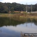 오류내낚시터 이미지