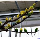 경주버드파크 이미지