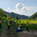 자미원농장 이미지