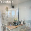 힐유필라테스 | [ 필라테스 | 개포동 ] 힐유필라테스 입문자도 걱정 없는 프로그램