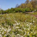 푸른수목원 이미지