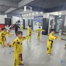 용인대 흑룡합기도 이미지