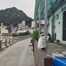 북면어탕 | 울릉도 가볼만한 곳 도동항 일출명소추천 대풍감 나리분지 울릉크루즈 뷔페