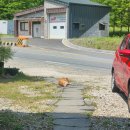 식신생선구이(진산점) 이미지