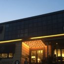 다독(Da Dog) 이미지