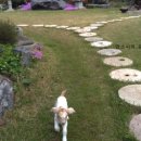 주초농장 이미지