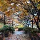 개인화물665 | [99차 모임후기] 총, 균, 쇠_재레드 다이아몬드