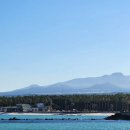 제주윈스톤 이미지