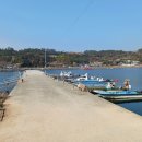 송진포항 이미지