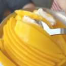 대천2통 공중화장실 | 대천해수욕장 오션뷰 카페 망고빙수 맛집 라스칼라