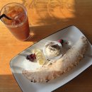 세화리해수욕장 | 제주도 세화 해수욕장 근처 카페 달치즈｜브런치로 먹은 치즈 달빵 후기