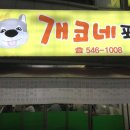 개코네포차 네이버블로그