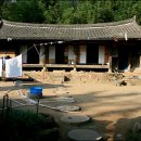 강골민박 이미지