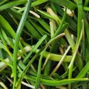 갑을상회 이미지