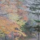 인광디자인