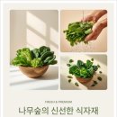 매일식자재