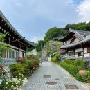완산-97 | 전주 한옥스테이 감성숙소 햇살가득 매화 후기