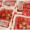 명재농장 이미지