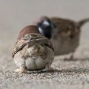 코어휘트니스 3호점 이미지