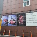 본뜰고기정 이미지