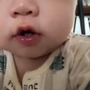 울 | 24년 9월~