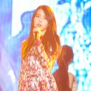 하이미스터 이미지