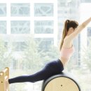 슈로스&과학운동센터 이미지